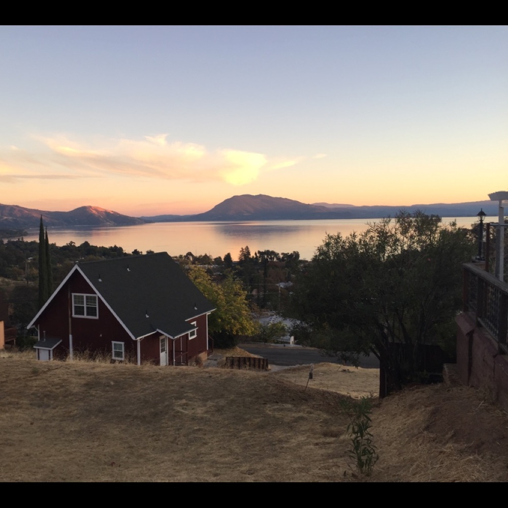 Meet your Posher, Freya